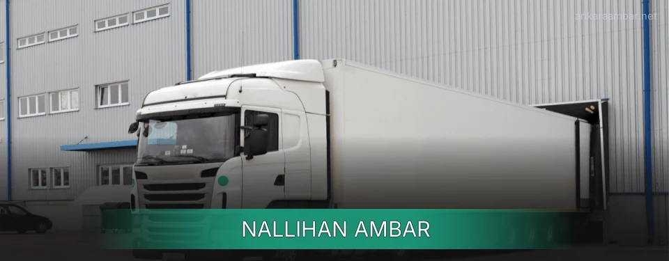 Nallıhan Ambar